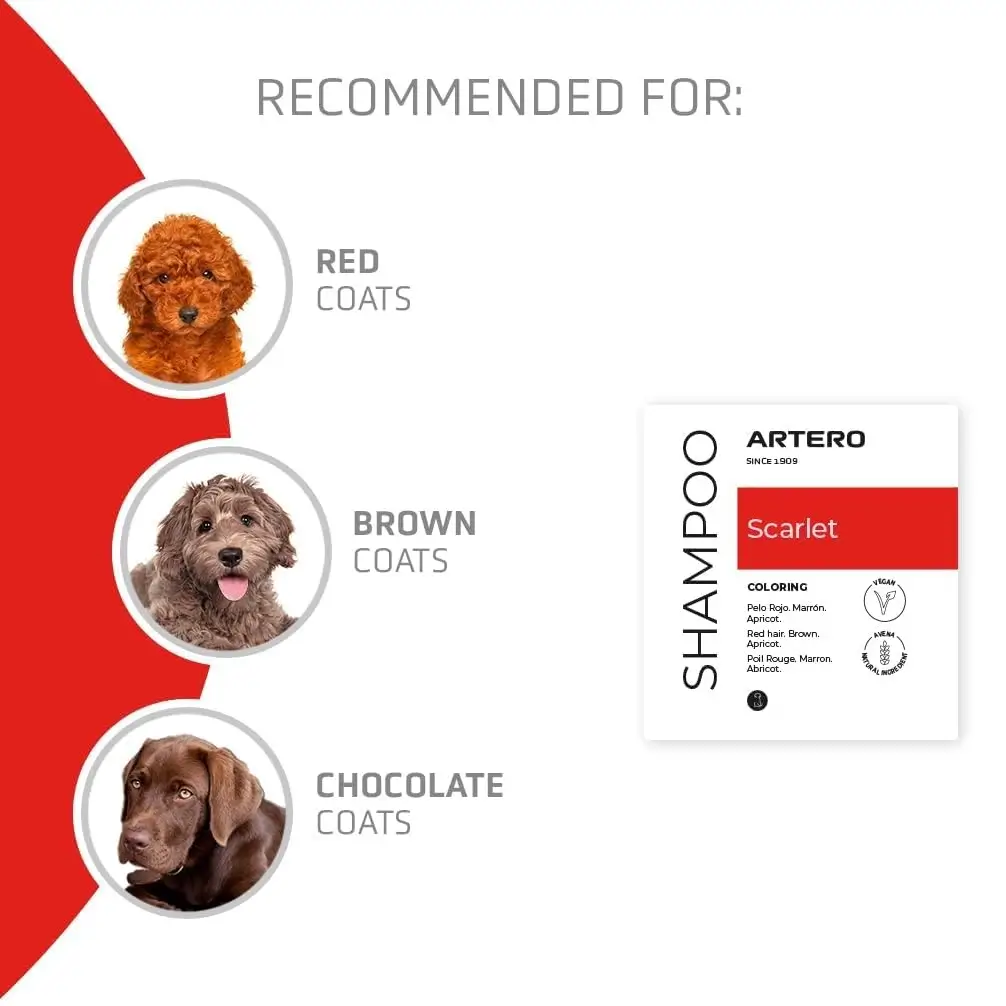 Shampoo para perros pelo rojo Artero Scarlet  300ml vista 3