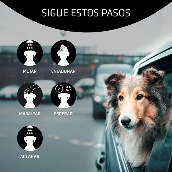 Shampoo para perros Artero Detox 250ml vista 4
